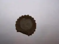 bottlecap-1.webp