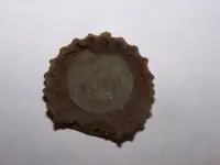 bottlecap-2.webp