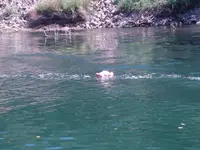 baby in the river 001.webp