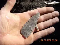 DSCN0008.webp