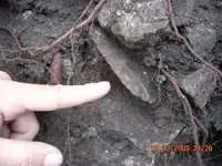 DSCN0015.webp