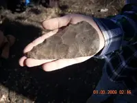 DSCN0020.webp