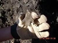 DSCN0019.webp