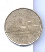 loonie1.webp