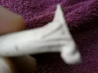 pipestem3.webp