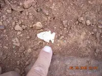 DSCN0063.webp