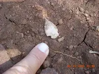 DSCN0065.webp