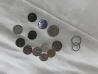 all the finds for the day.webp