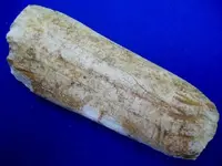 DSCN3122.webp