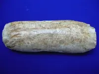 DSCN3126.webp