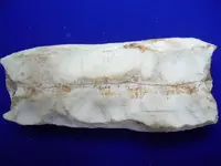 DSCN3121.webp