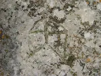 DSC01347.webp