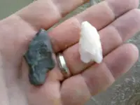 Aug 14 2nd hunt.webp