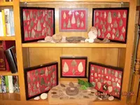DSCN0169.webp