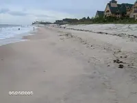 beach 010.webp