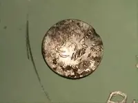 skunk dime.webp