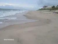 beach 016.webp