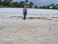 beach 011.webp