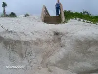 beach 015.webp
