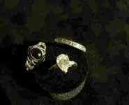 rings also.webp