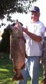 bigfish3.webp