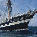 HMSWIGGLES.webp