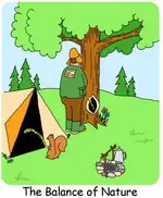 balance.webp