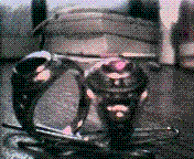 Cap0013.GIF