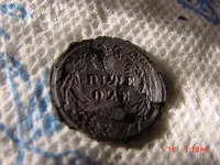 17.webp