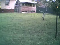 MY FENCE001.webp