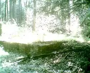 Photonnnn001.webp