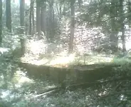 Photonnnn002.webp