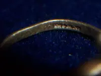 beach finds 6-16-05 055.webp