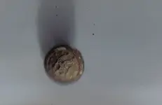 eagle button.webp