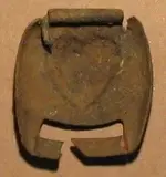 buckle-back.webp