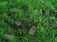 this old house 003.webp