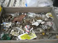DSCN0288.webp