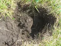Marc in dirt small.webp