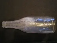 IMGP1156.webp