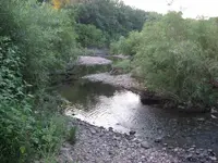 003.webp