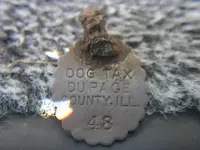 8-2-09 Finds 005.webp
