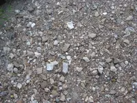 010.webp