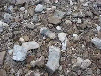 011.webp