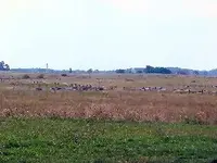 landscape.webp