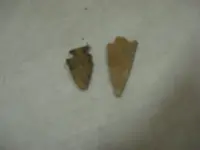 oregon tail finds 0091.webp