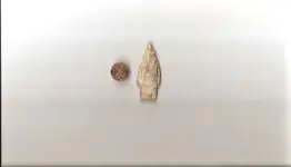shale1.webp