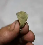 coinsandoldthings006.webp