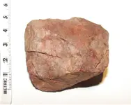 CELT1.webp