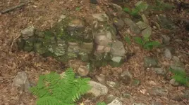 cellar holes 003.webp
