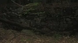 cellar holes 007.webp